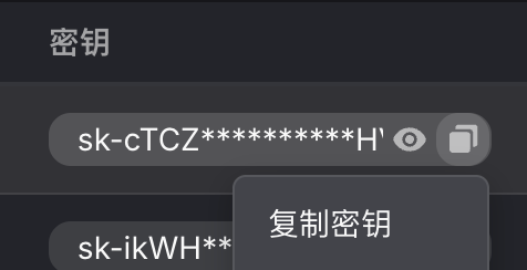 NewBee 复制 API Key